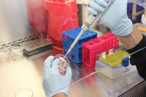 Gloved hands using a pipette in a science lab